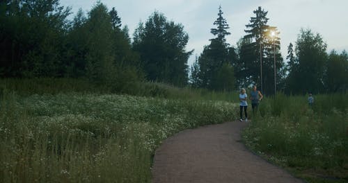 有关forestpark, 人, 体力活动的免费素材视频