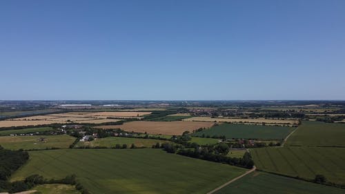 有关宽, 巷道, 林场的免费素材视频