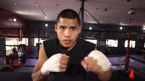 有关人, 室内, 拳击场的免费素材视频