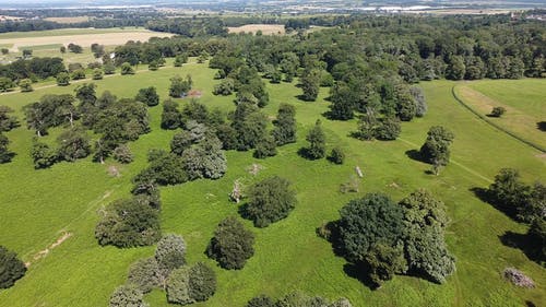 有关土地, 天性, 户外的免费素材视频