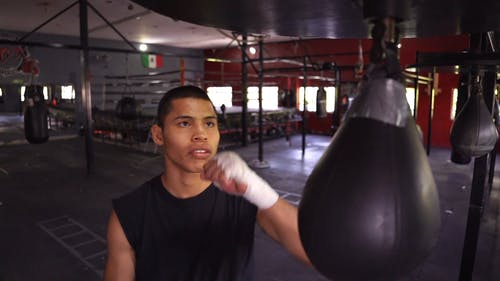 有关墨西哥人, 室内, 战斗运动的免费素材视频