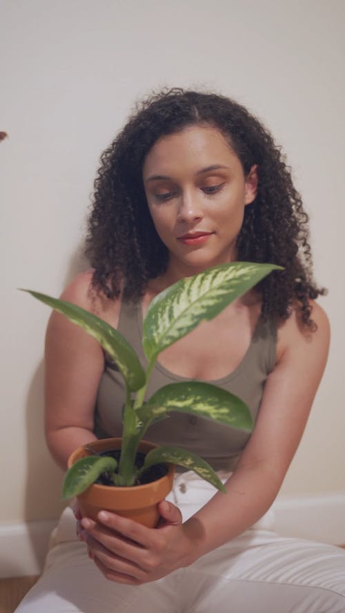 坐在地板上的女人拿着一盆植物 · 免费素材视频