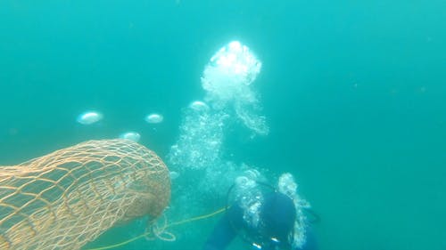 有关人, 捕鱼网, 握住的免费素材视频