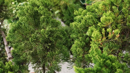 有关分公司, 工厂, 新鲜的免费素材视频