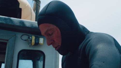 有关人, 潜水, 潜水员的免费素材视频