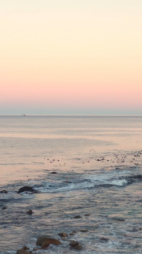 有关和平的, 垂直视频, 天性的免费素材视频