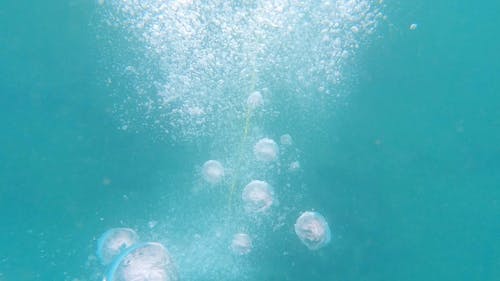 有关冒泡, 气泡, 水下的免费素材视频