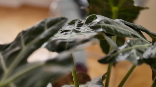 有关手, 手写, 模糊的背景的免费素材视频