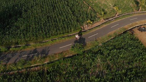 有关天性, 摩托车, 海的免费素材视频