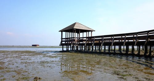 有关地平线, 平移拍摄, 景观的免费素材视频