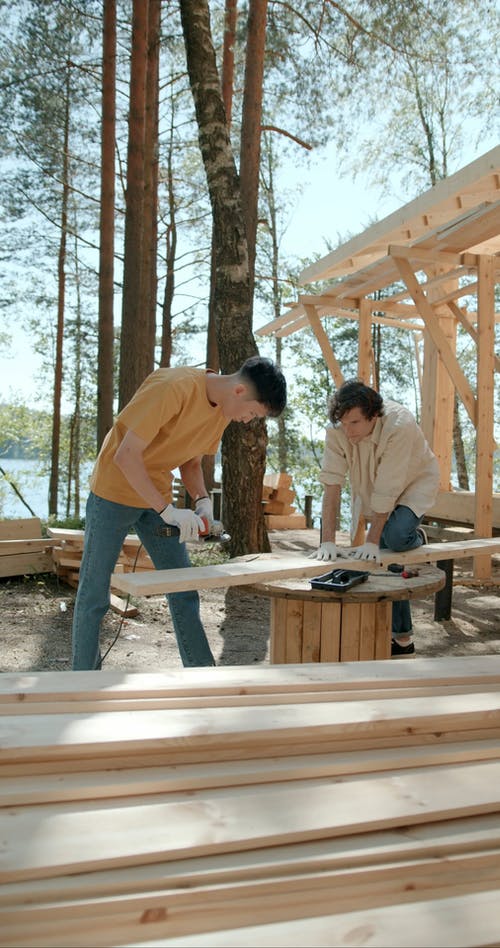 有关原本, 垂直视频, 多样化的免费素材视频