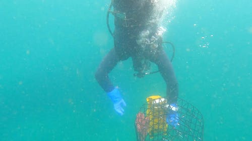 有关在水下, 太平洋, 户外的免费素材视频