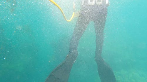 有关水下, 水下冒险, 水下录像的免费素材视频
