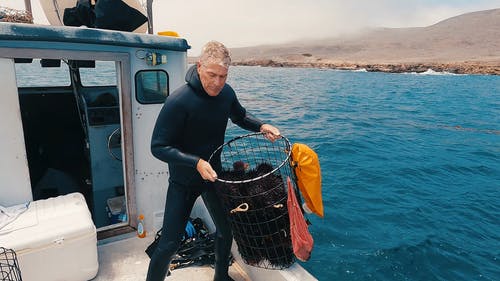 有关人, 携带, 海的免费素材视频