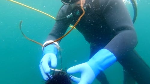 有关在水下, 户外, 水的免费素材视频