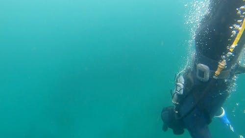 有关人, 在水下, 太平洋的免费素材视频