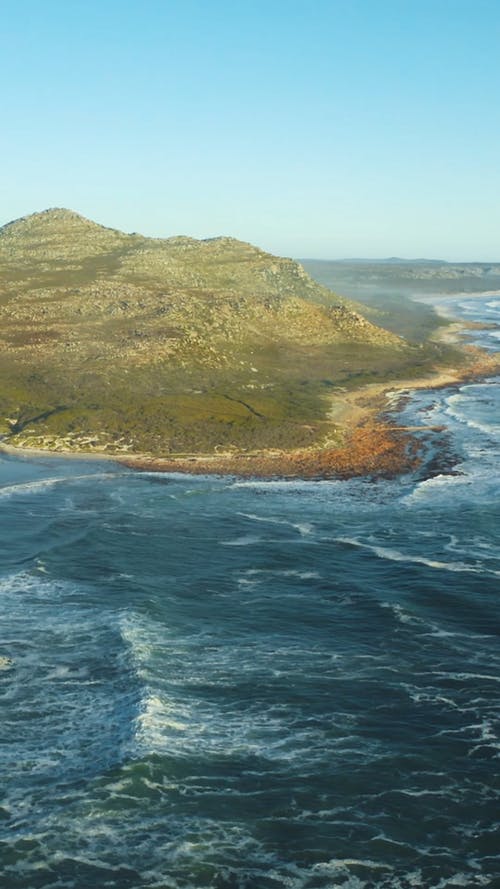 有关垂直视频, 天性, 户外的免费素材视频