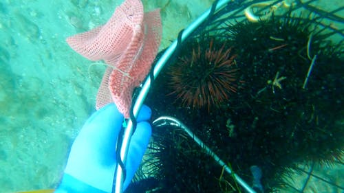 有关在水下, 户外, 水的免费素材视频