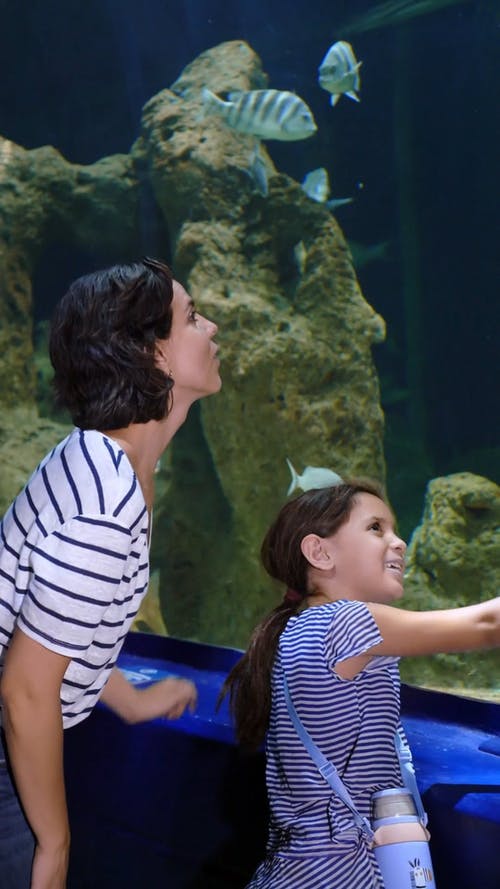 有关吃惊, 垂直视频, 大的免费素材视频