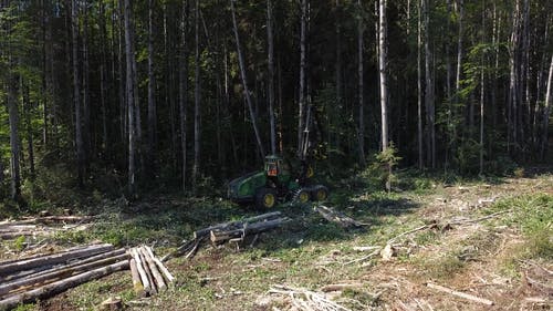 有关天性, 户外, 收割机的免费素材视频
