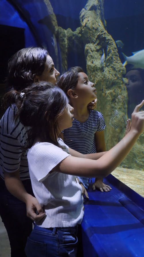 有关吃惊, 垂直视频, 大的免费素材视频