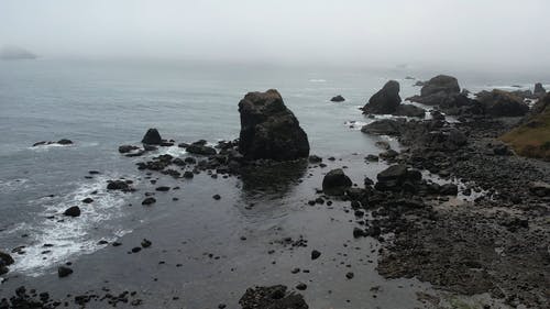 有关天性, 岩石海岸, 有雾的免费素材视频