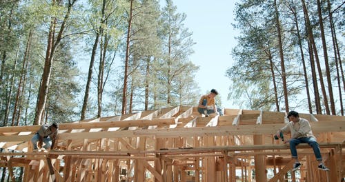 有关@户外, 原本, 多样化的免费素材视频