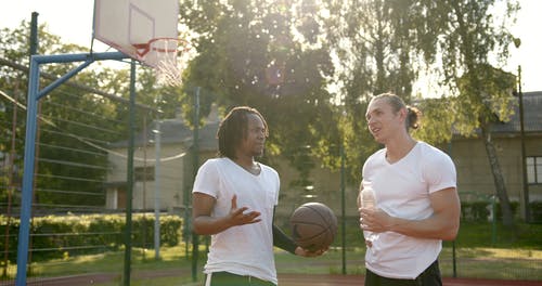 有关多样化, 握住, 会话的免费素材视频