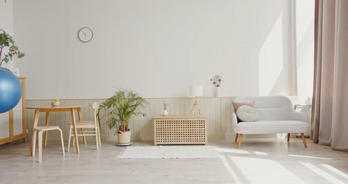 有关握住, 携带, 稳定球的免费素材视频