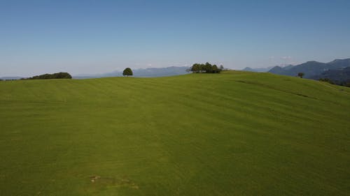 有关天性, 户外, 景观的免费素材视频