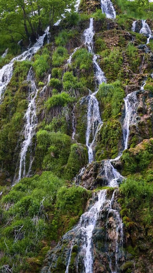 有关垂直视频, 天性, 户外的免费素材视频