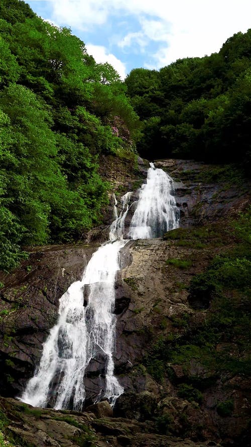 有关了望山, 垂直视频, 天性的免费素材视频