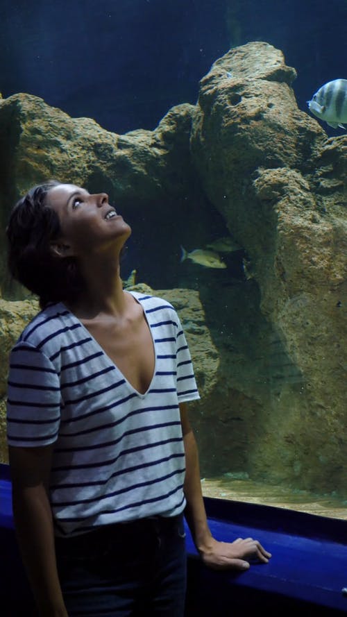 有关吃惊, 垂直视频, 大的免费素材视频