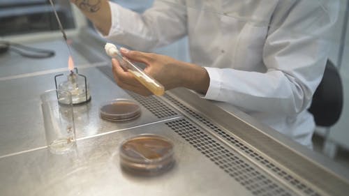 有关仪器, 加热, 实验室的免费素材视频