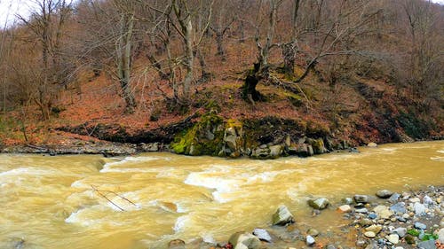 有关下落, 天性, 水流动的免费素材视频