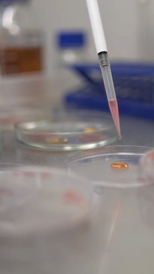 有关吸管, 垂直视频, 培养皿的免费素材视频