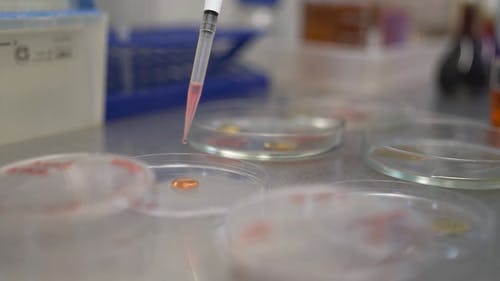 有关吸管, 培养皿, 特写的免费素材视频