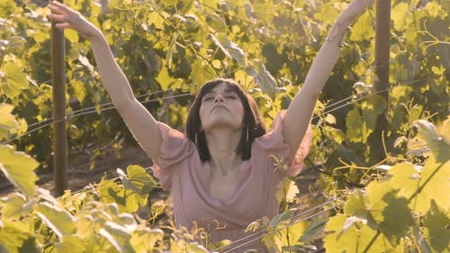 有关伸展, 女人, 户外的免费素材视频