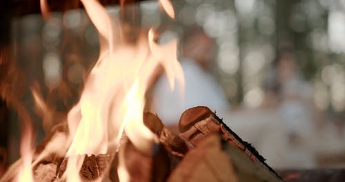 有关一对, 一起, 人的免费素材视频