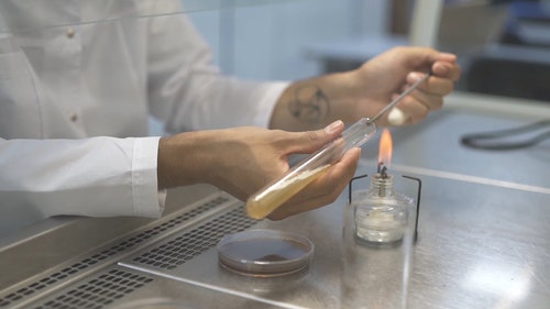 有关人,分析,化学的免费素材视频