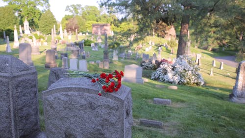 有关墓园, 坟墓, 户外的免费素材视频