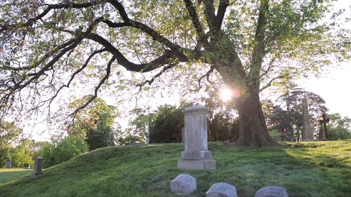 有关墓, 墓园, 墓石的免费素材视频