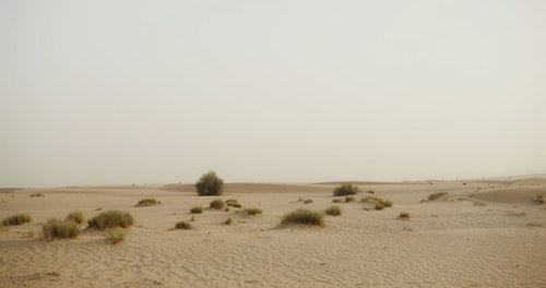 有关乾旱,户外,杜拜的免费素材视频