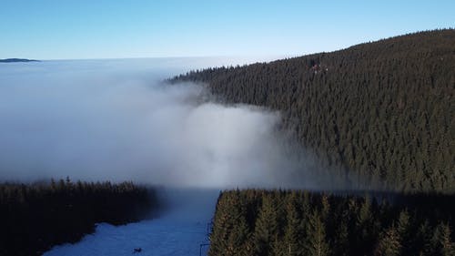 有关在云层之上, 帕尔蒂尼斯, 有雾的免费素材视频