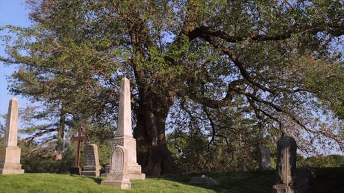 有关墓园, 墓石, 墓碑的免费素材视频