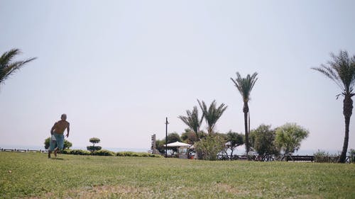 有关人, 地面, 娱乐的免费素材视频