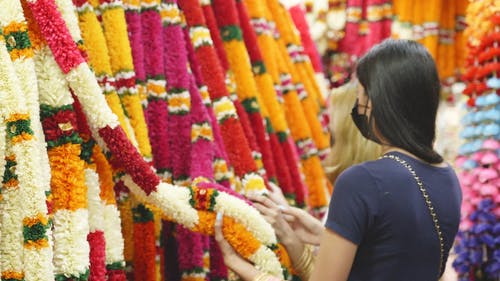 有关“花环”, 女性, 新常态的免费素材视频