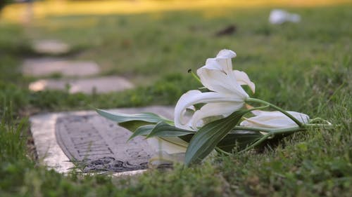 有关墓园, 墓碑, 坟墓的免费素材视频