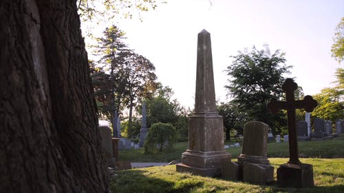 有关墓园, 墓石, 明亮的免费素材视频