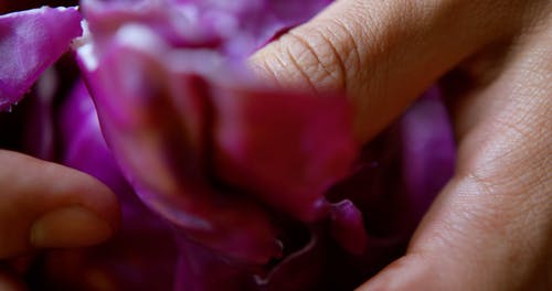 有关健康, 手, 手指的免费素材视频